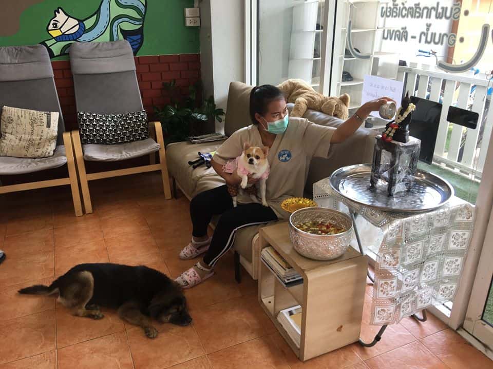 Saimai Animal Hospital (โรงพยาบาลสัตว์สายไหม) 8