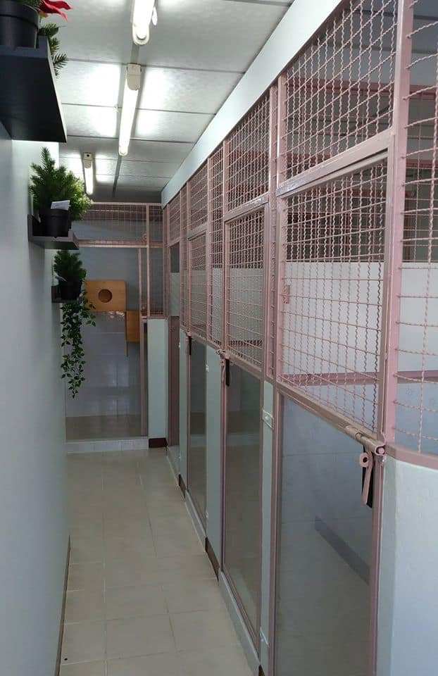 คลินิกบ้านหมอกะหมา (ลาดพร้าว101) 7