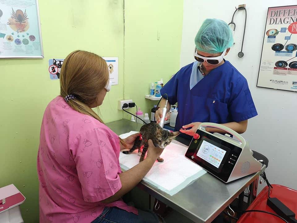 โรงพยาบาลสัตว์เพ็ทโปร Petpro 2