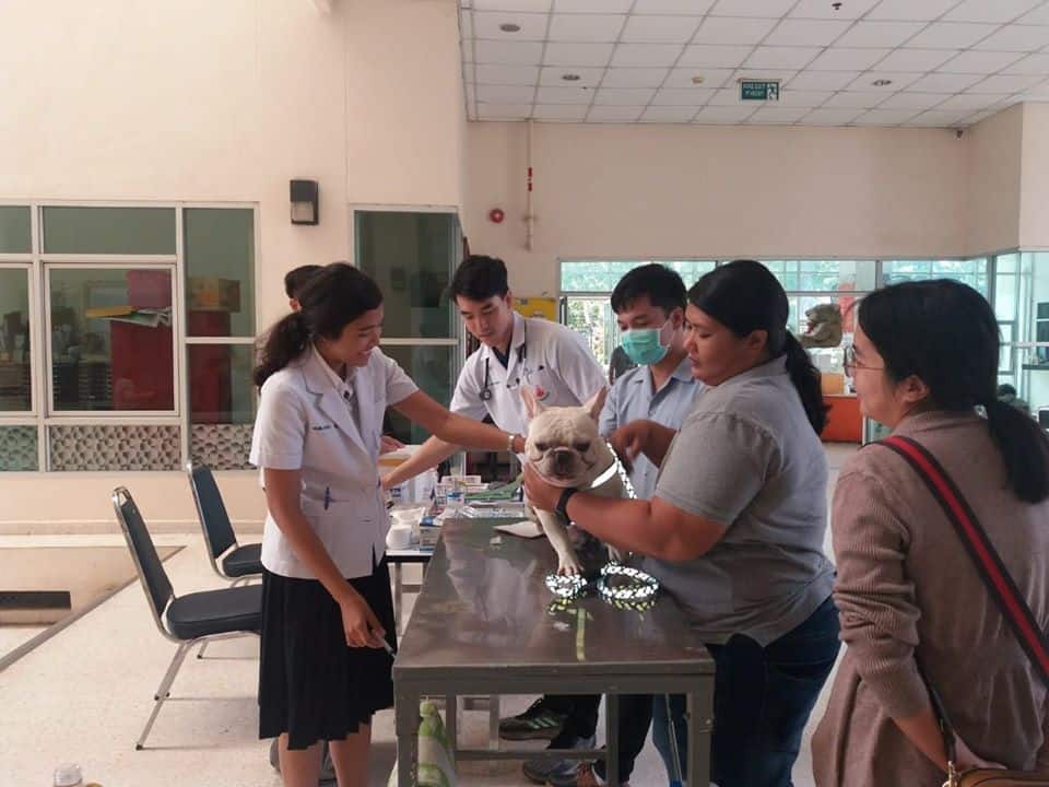 โรงพยาบาลสัตว์คณะสัตวแพทย์มหาวิทยาลัยขอนแก่น 5