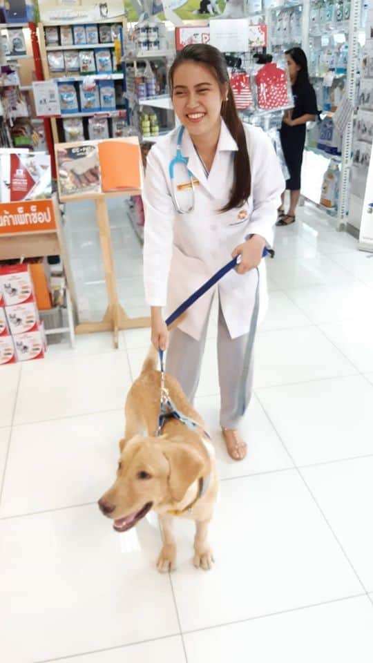 โรงพยาบาลสัตว์จัสโก้รัชดา (Jusco Ratchada Pet Hospital) 1