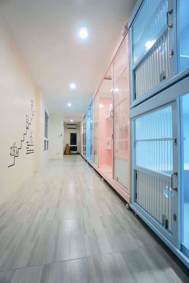 Ryoko Cat Hotel (โรงแรมแมวเรียวโค) Cat Hotel 1