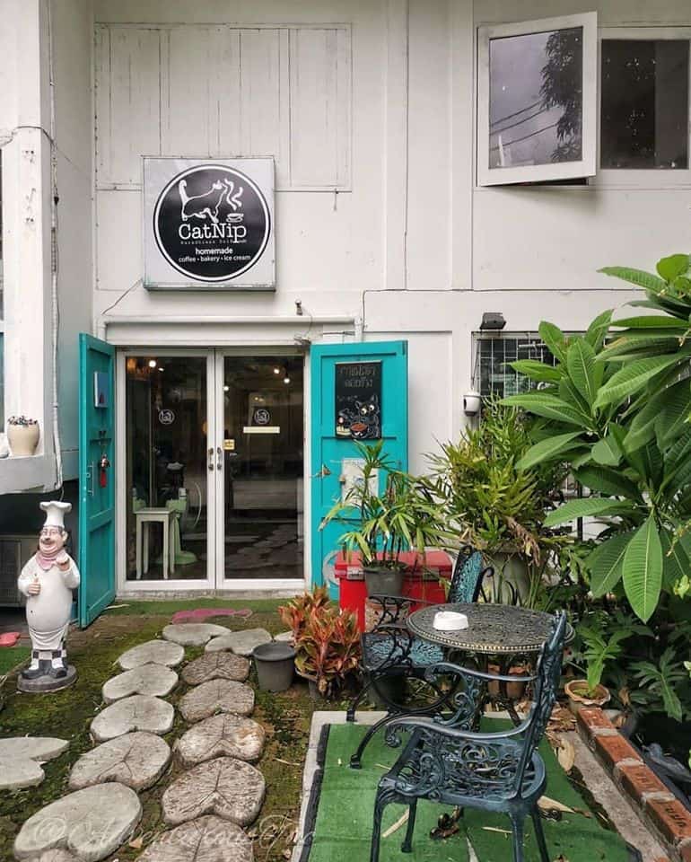 CatNip Cafe (แคทนิป คาเฟ่) Cat Cafe 6