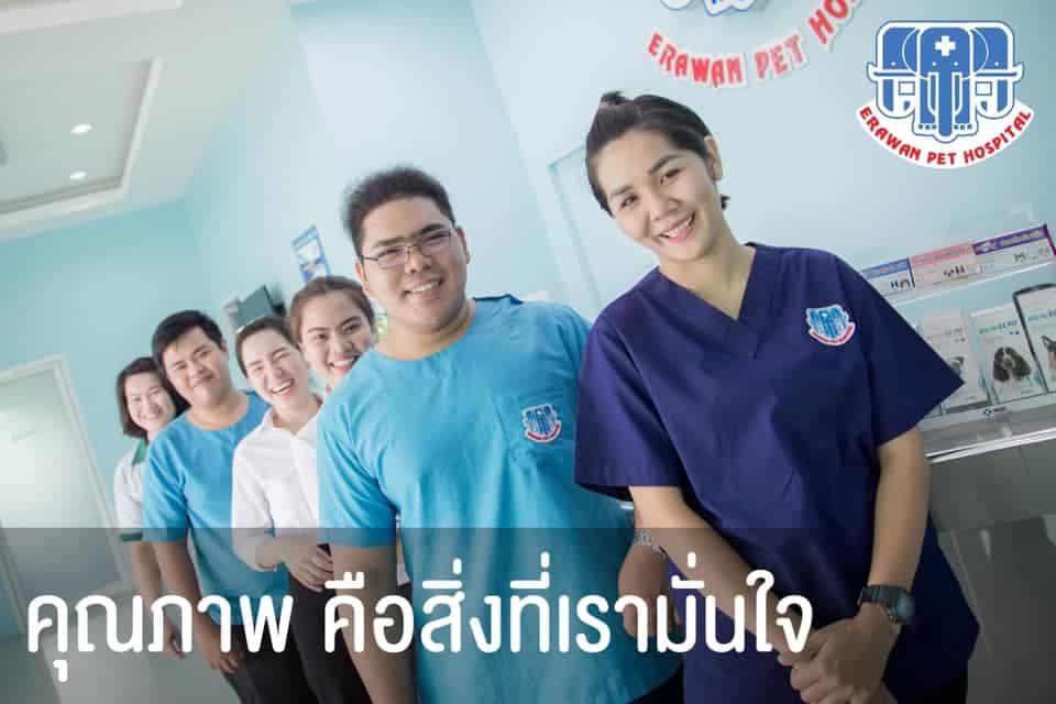 Erawan Pet Hospital (โรงพยาบาลสัตว์เอราวัณ ศูนย์พระพุทธบาท) 4