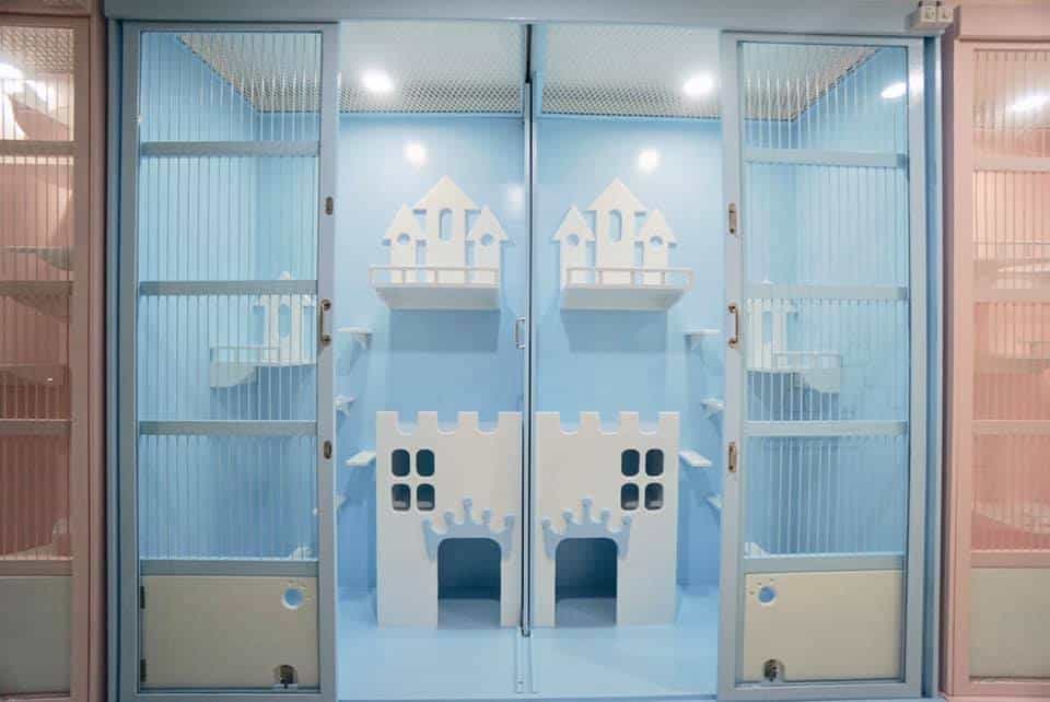 Ryoko Cat Hotel (โรงแรมแมวเรียวโค) Cat Hotel 5