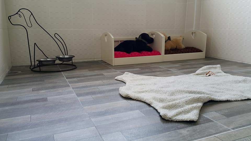 BowWow Center (บาววาว เซ็นเตอร์) 6