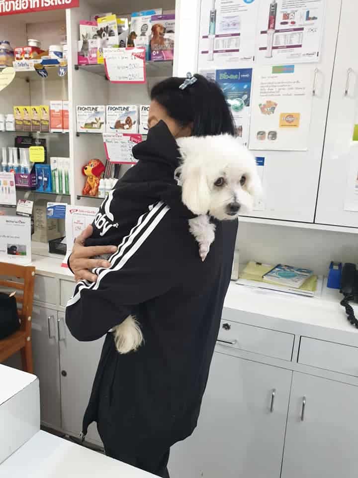 BowWow Center (บาววาว เซ็นเตอร์) 7