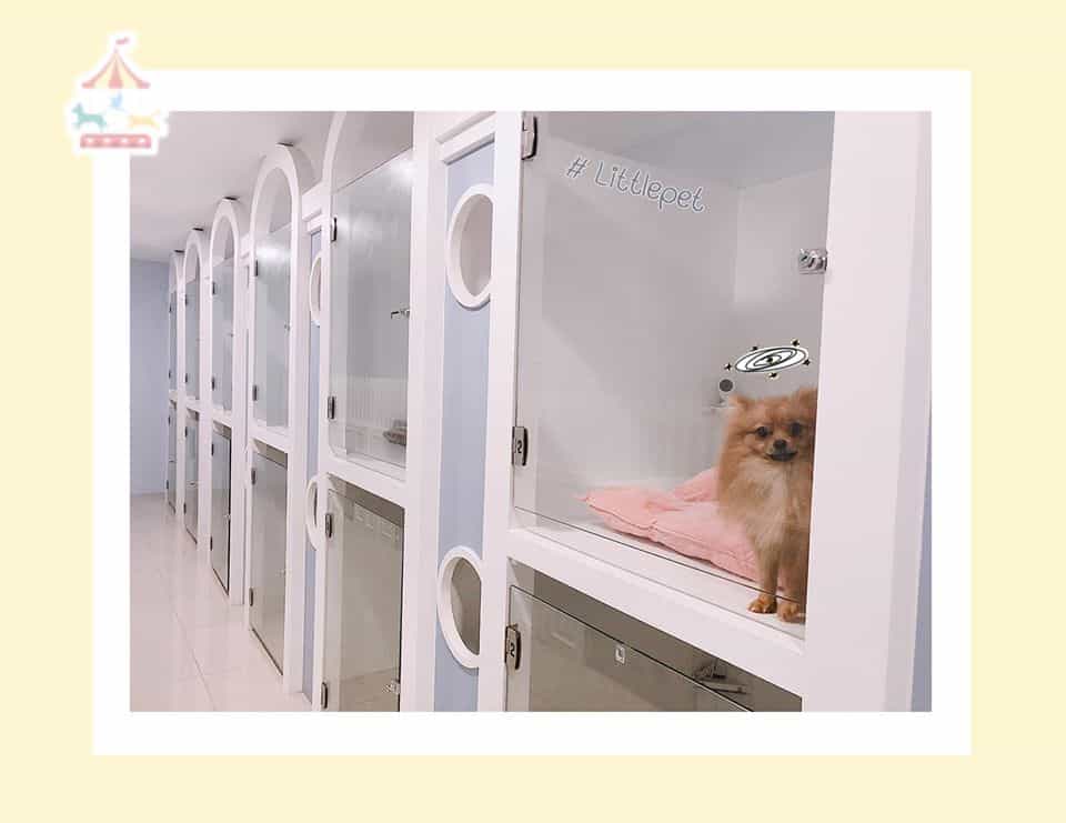 Little Pet (สุขุมวิท77) 6