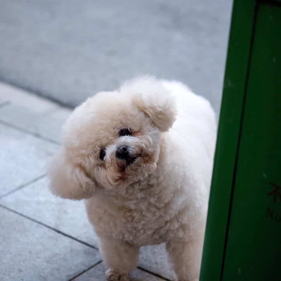 Suksawat Animal Hospital (โรงพยาบาลสัตว์สุขสวัสดิ์) 3