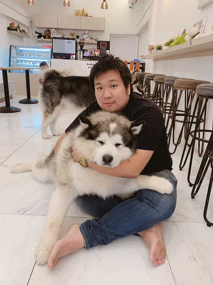 Box Box Dog Cafe (นิมมาน ซ.9) Dog Cafe 3