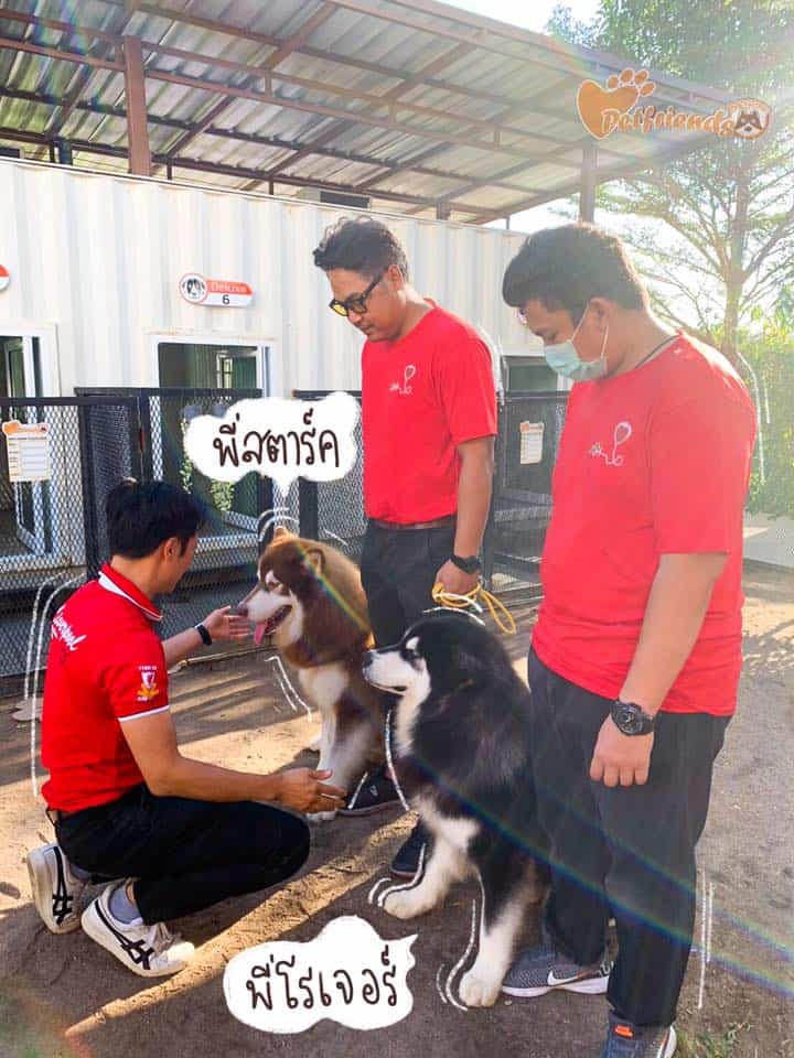 Pet Friends Bangsaen (บางแสน) 7