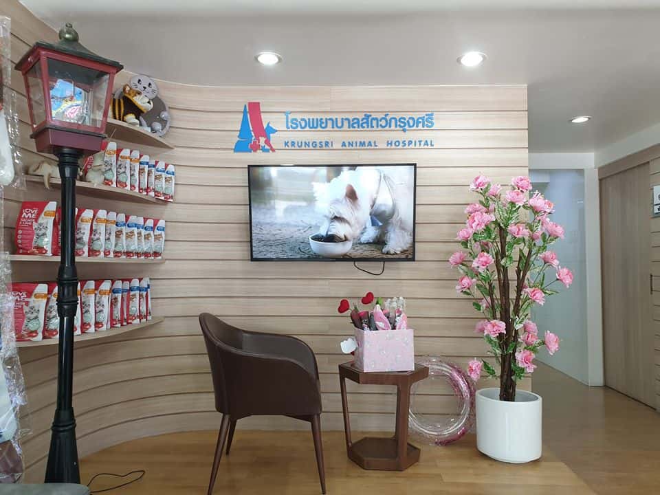 Krungsripethospital (โรงพยาบาลสัตว์กรุงศรี) 6