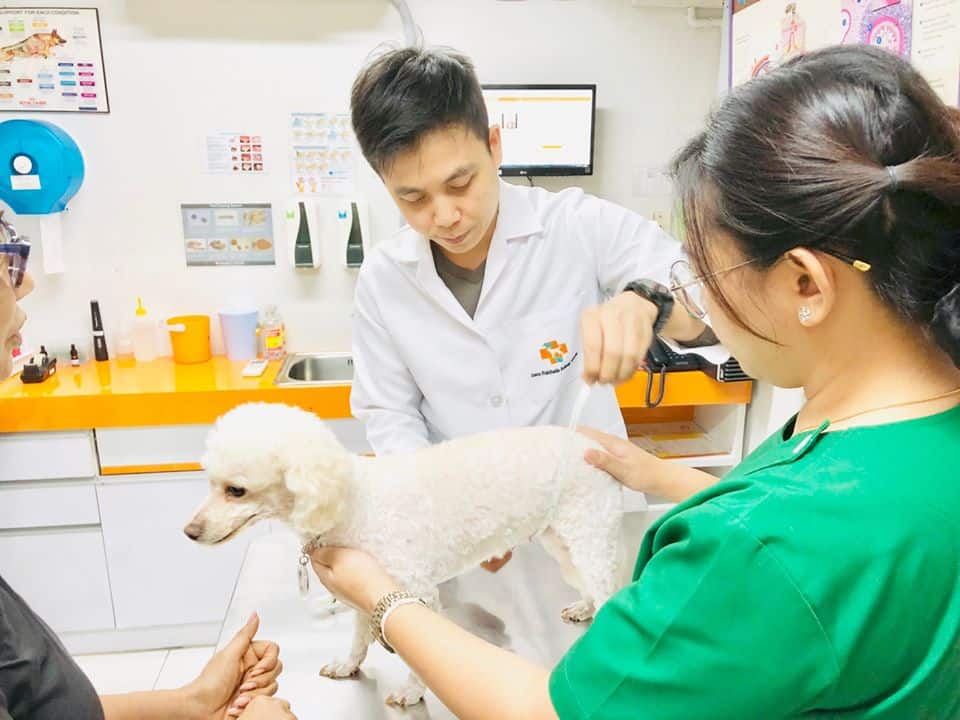 โรงพยาบาลสัตว์จัสโก้รัชดา (Jusco Ratchada Pet Hospital) 5