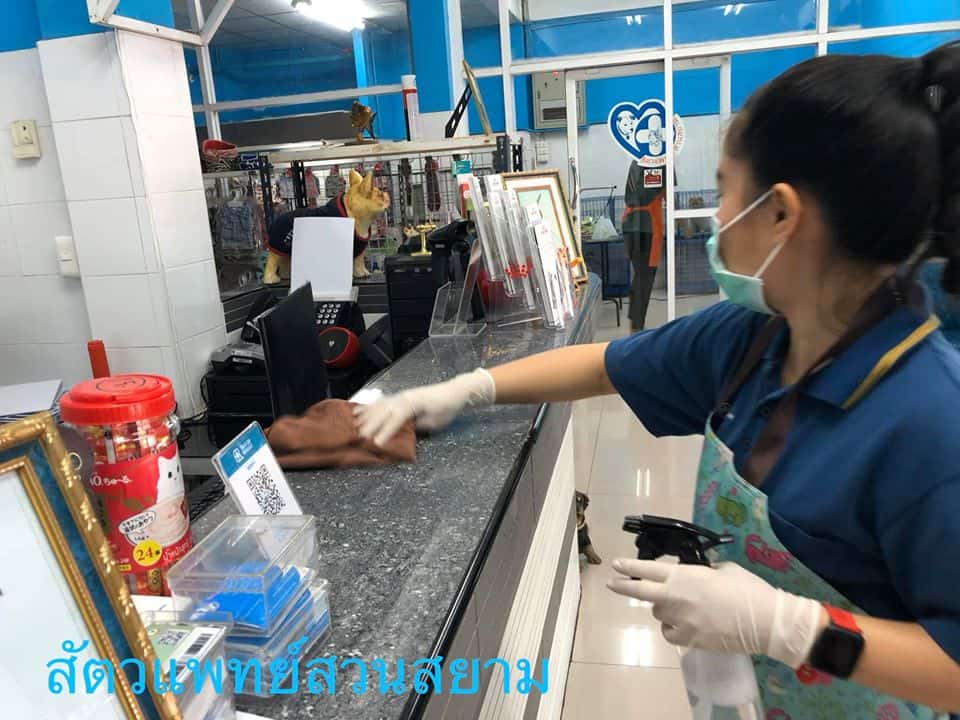 Petsiamparkclinic (สัตวแพทย์สวนสยาม) 6