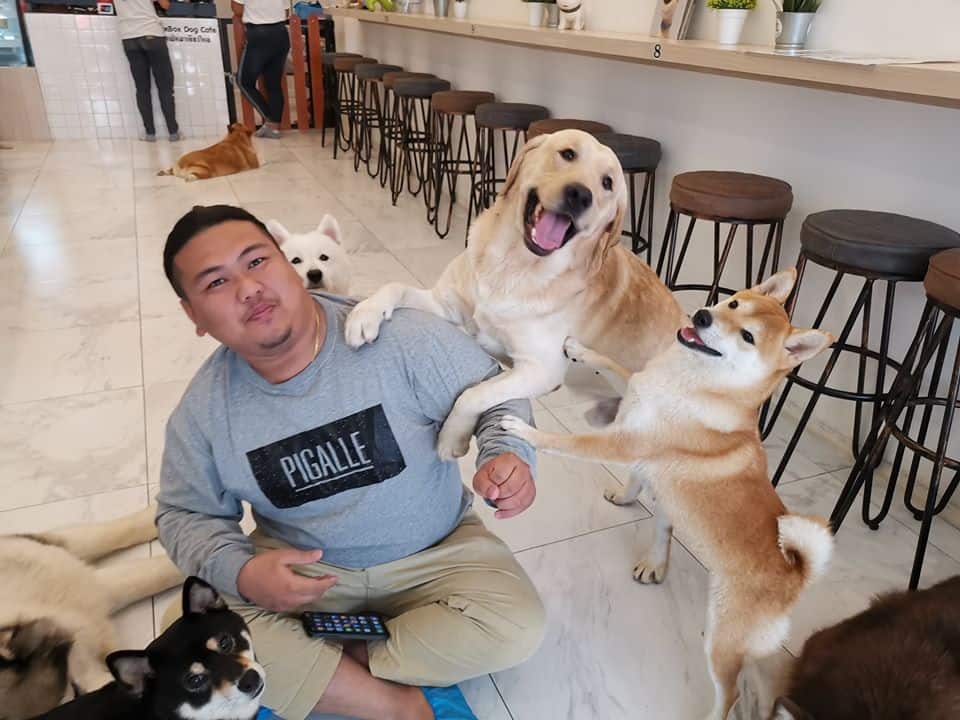 Box Box Dog Cafe (นิมมาน ซ.9) Dog Cafe 4