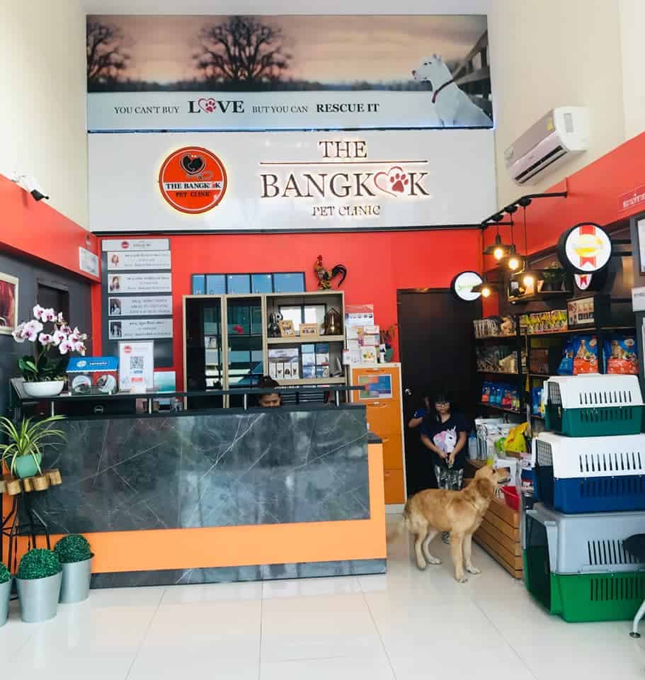 The Bangkok Pet Clinic (เดอะ แบงค็อก เพ็ท คลินิก) 6