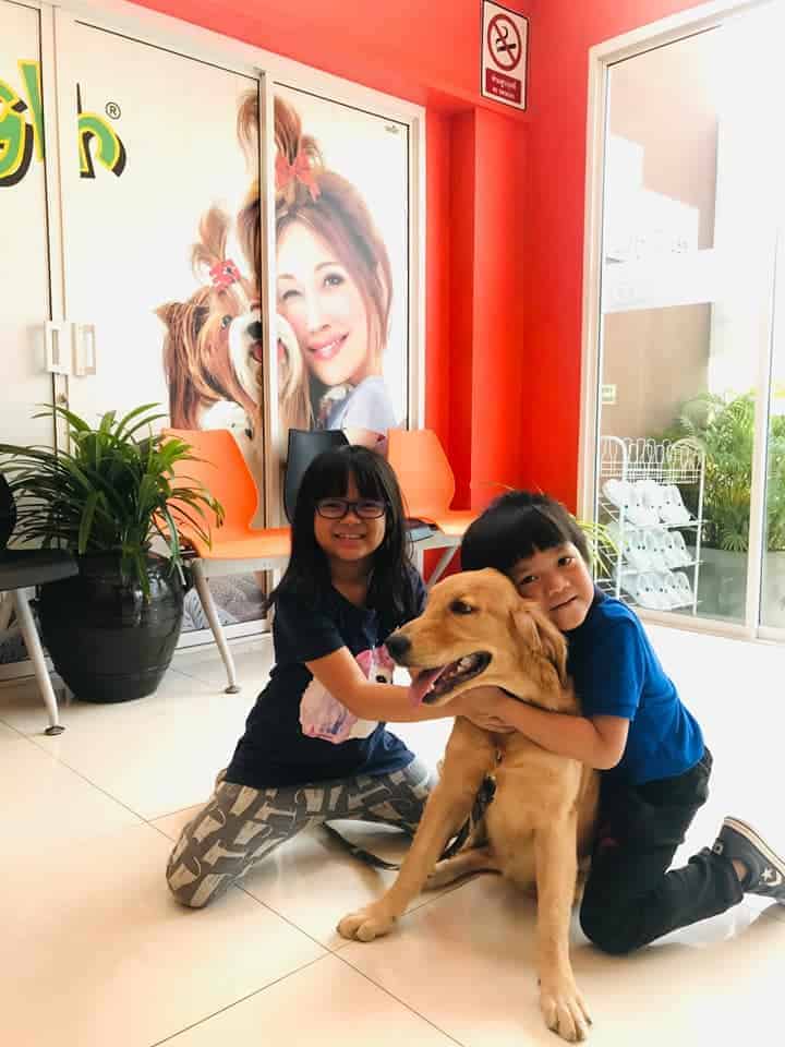 The Bangkok Pet Clinic (เดอะ แบงค็อก เพ็ท คลินิก) 7