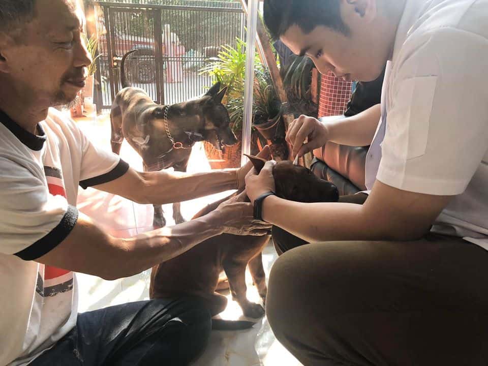 Petsiamparkclinic (สัตวแพทย์สวนสยาม) 7