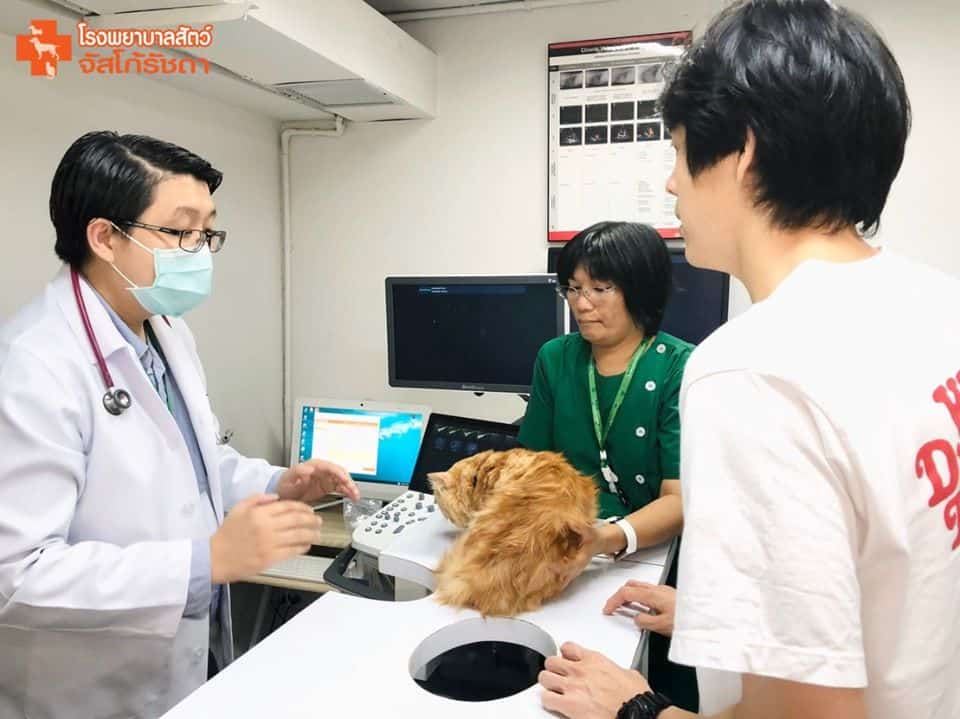 โรงพยาบาลสัตว์จัสโก้รัชดา (Jusco Ratchada Pet Hospital) 8