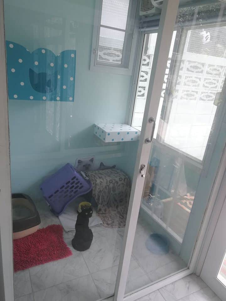 JoYu Cat Hotel (โจยุ แคท โฮเทล) Cat Hotel 6