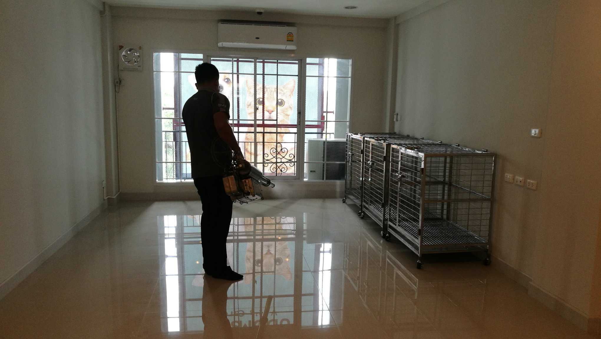 Udomsuk Vet's Care (โรงพยาบาลสัตว์อุดมสุข เว็ทส์) 4