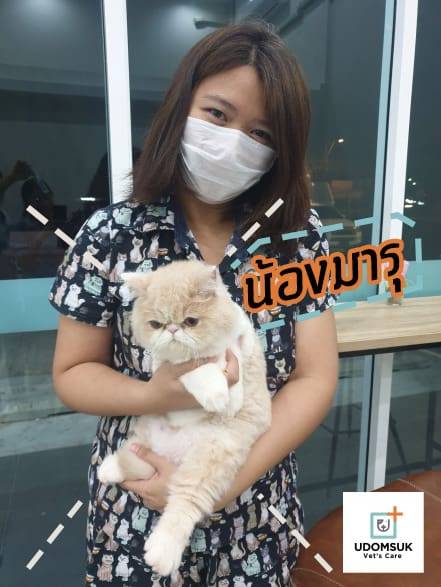 Udomsuk Vet's Care (โรงพยาบาลสัตว์อุดมสุข เว็ทส์) 5