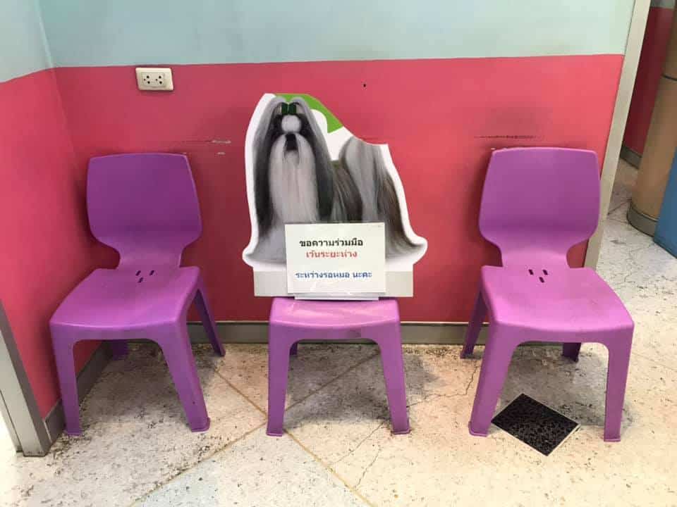 โรงพยาบาลสัตว์ปทุมธานี 4