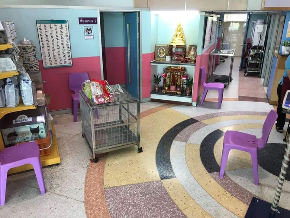 โรงพยาบาลสัตว์ปทุมธานี 5