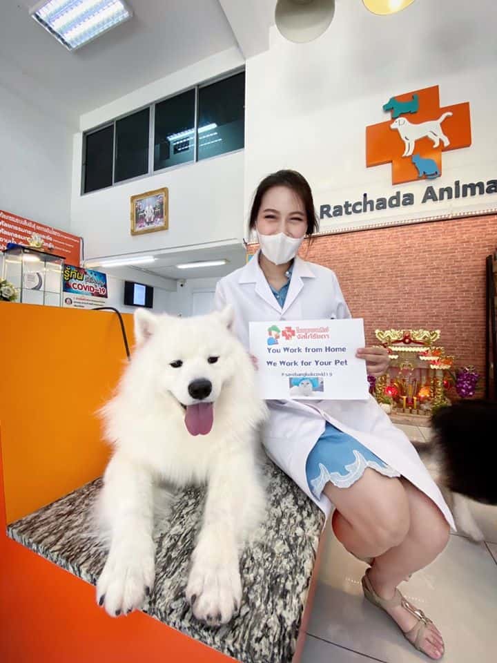 โรงพยาบาลสัตว์จัสโก้รัชดา (Jusco Ratchada Pet Hospital) 9