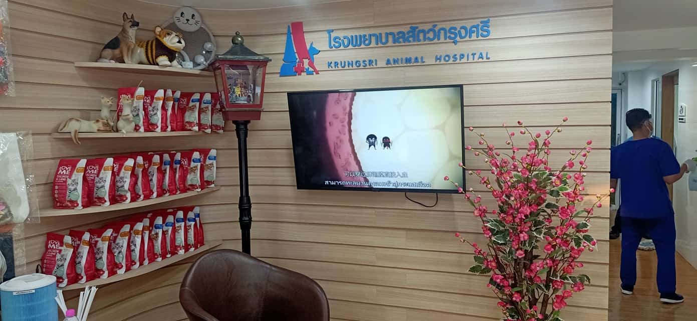 Krungsripethospital (โรงพยาบาลสัตว์กรุงศรี) 9