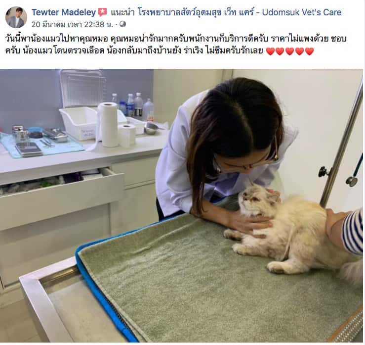 Udomsuk Vet's Care (โรงพยาบาลสัตว์อุดมสุข เว็ทส์) 7