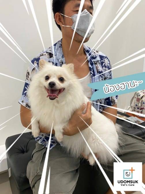 Udomsuk Vet's Care (โรงพยาบาลสัตว์อุดมสุข เว็ทส์) 9