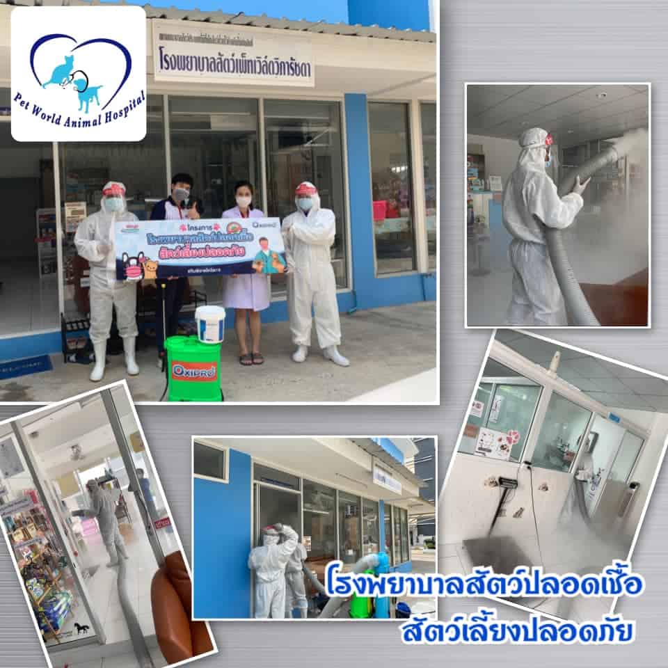 Petworld VR (โรงพยาบาลสัตว์เพ็ทเวิล์ด วิภารัชดา) 8