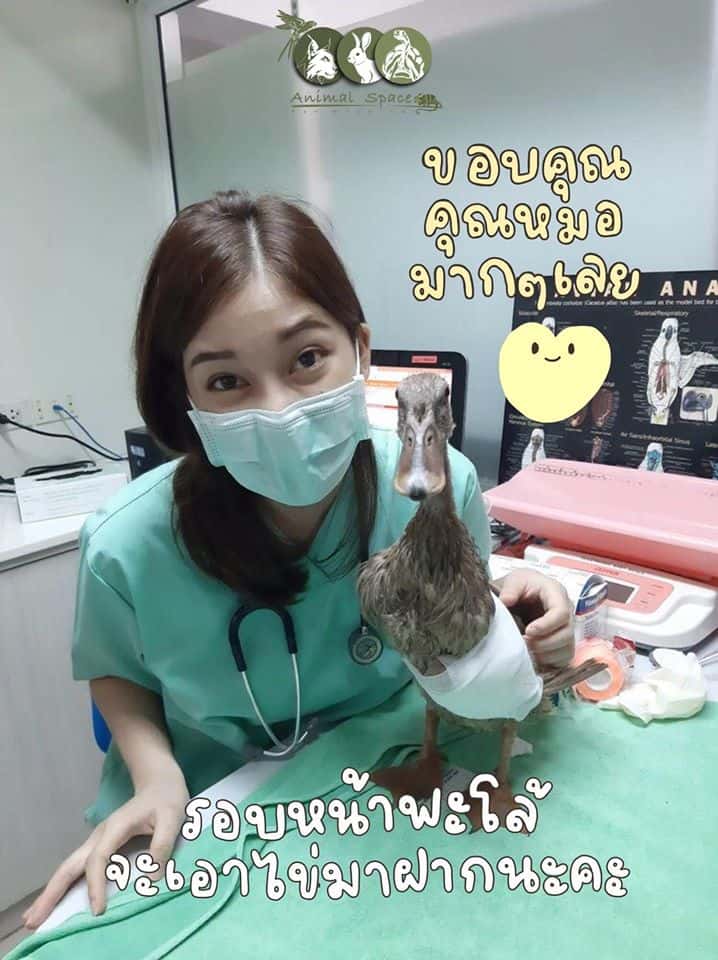 Animal Space Hospital (โรงพยาบาลสัตว์แอนิมอลสเปซ) 6