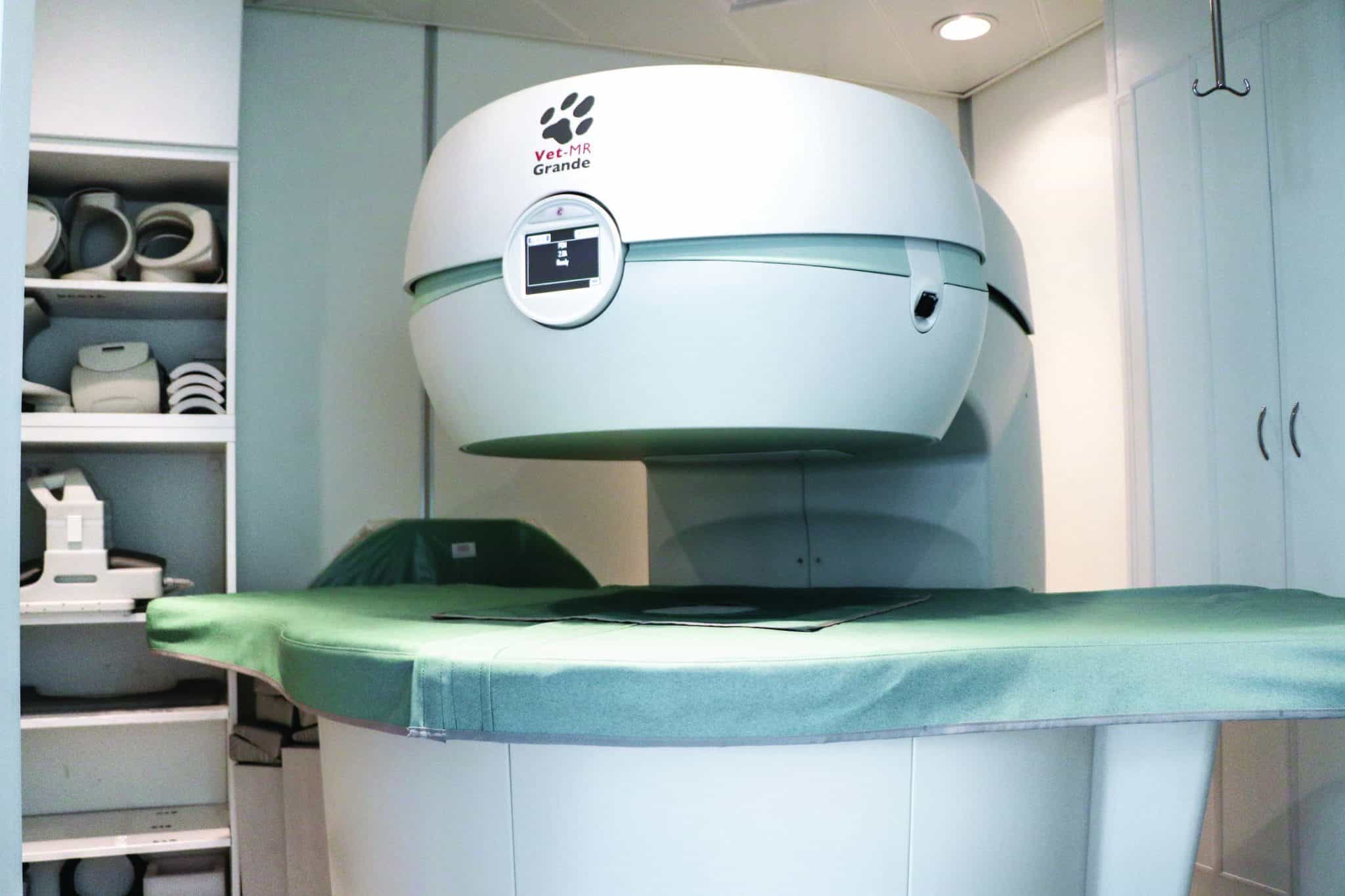 โรงพยาบาลสัตว์ ทีเอช (TH Animal Hospital) 3