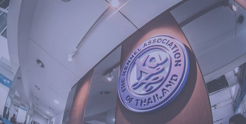 สมาคมพัฒนาพันธุ์สุนัขแห่งประเทศไทย The Kennel Association of Thailand 1