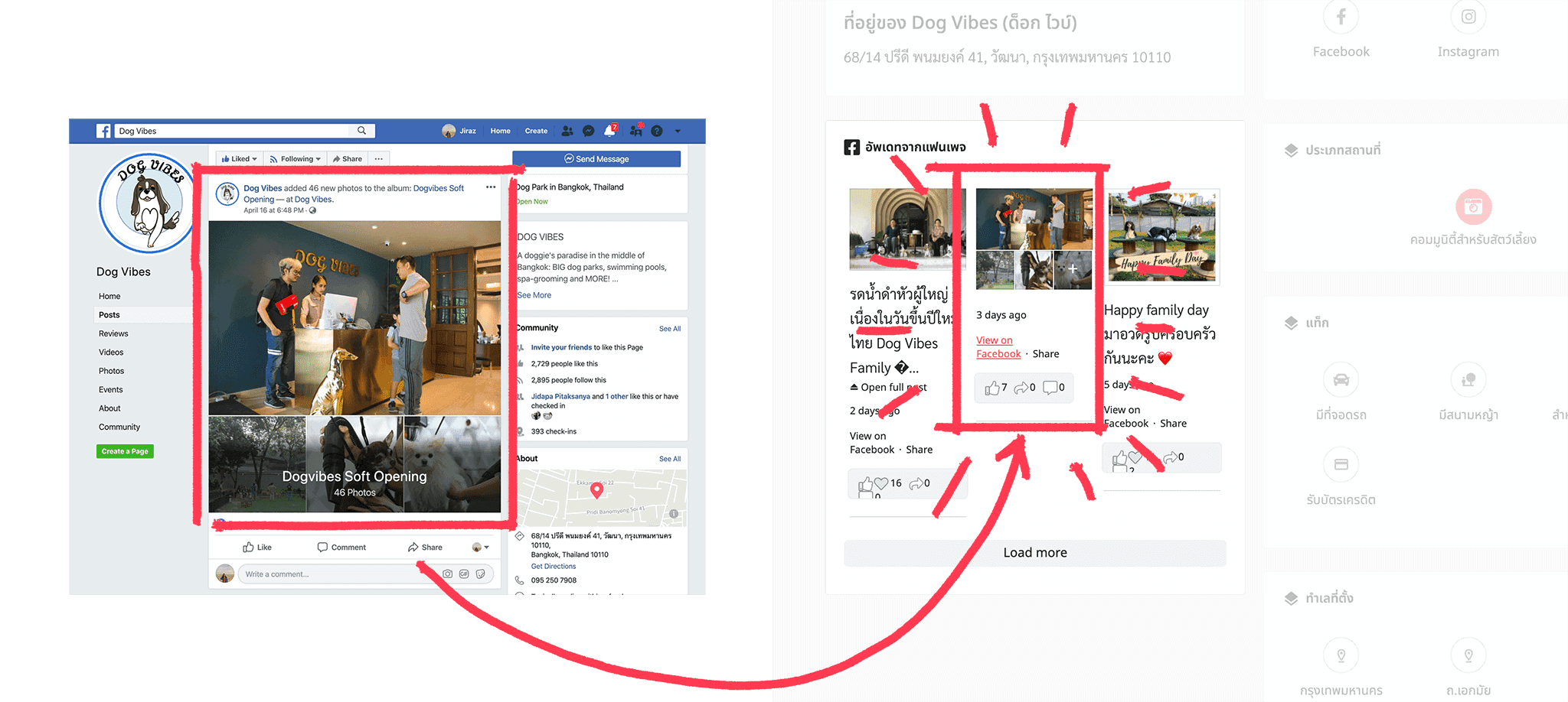 ธุรกิจสัตว์เลี้ยงอัพเกรดฟรีกับ petmap 8 ธุรกิจสัตว์เลี้ยงอัพเกรดฟรีกับ petmap 7