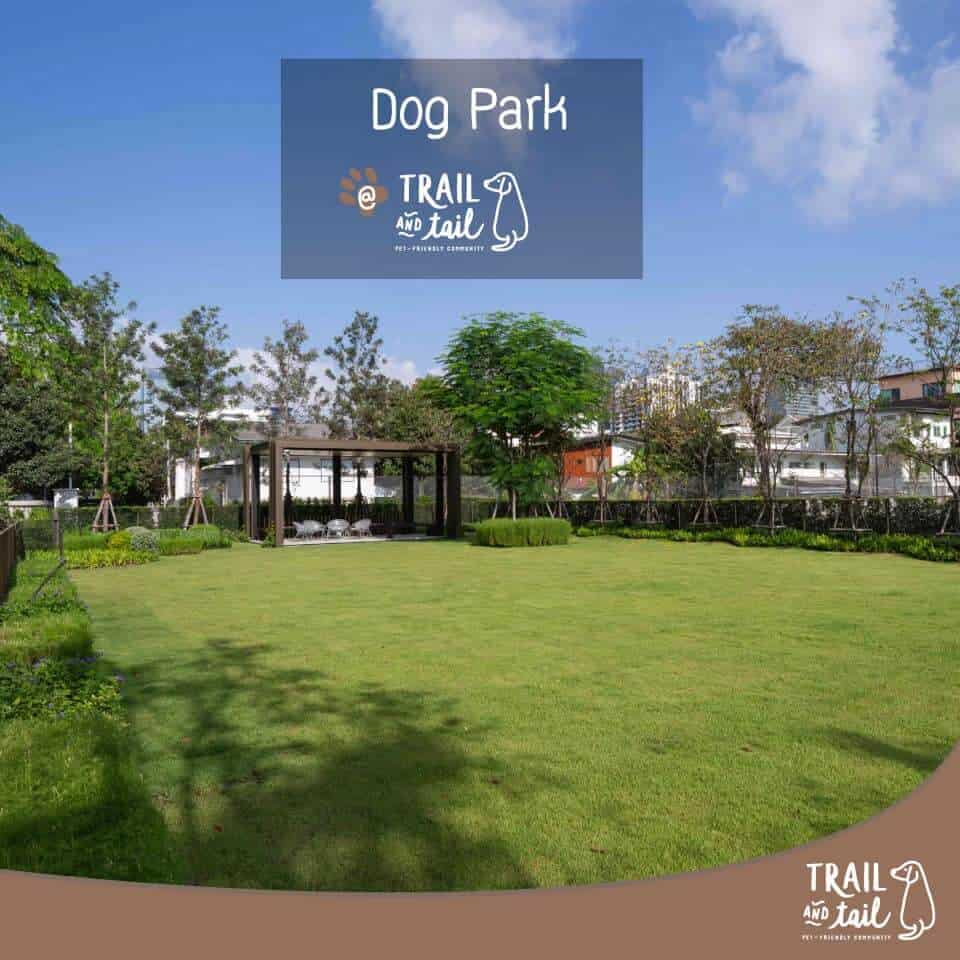 Trail and Tail (สุขุมวิท) 1