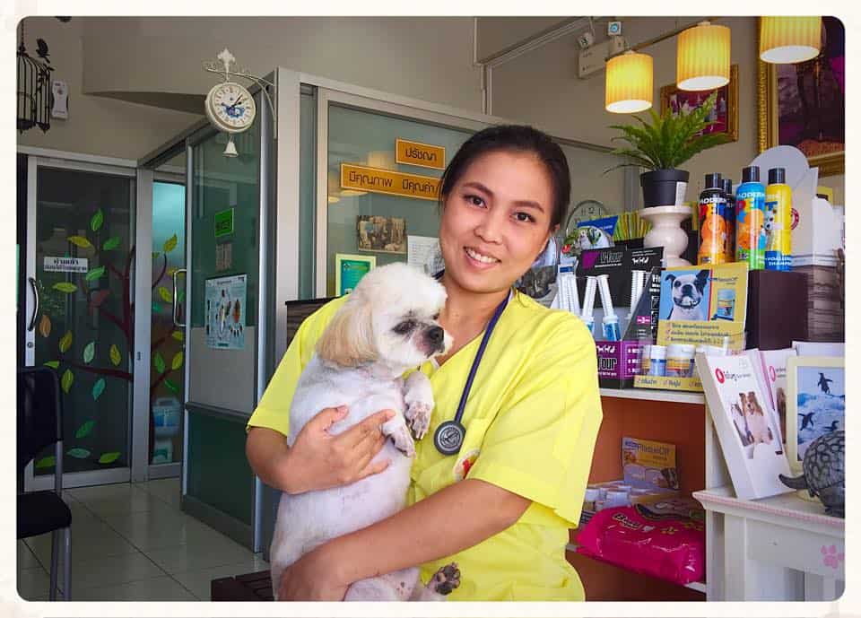 โรงพยาบาลสัตว์ มีคุณ (บ้านกล้วย-ไทรน้อย) 5