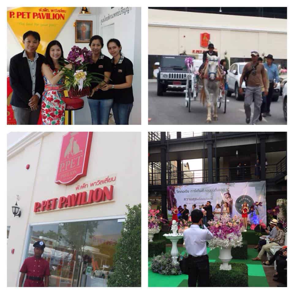P.Pet Pavilion (ใน Victoria Gardens) 5