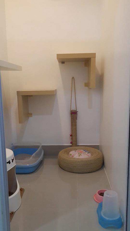 โรงแรมแมว Casa de Cat : หัวลำโพง 4