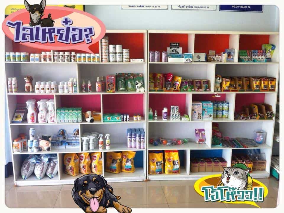โรงพยาบาลสัตว์สันทราย (เชียงใหม่) 3