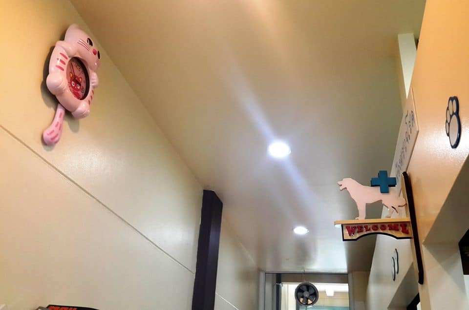 Dr.chula's animal clinic (คลินิกสัตว์ด๊อกเตอร์จุฬา) 3