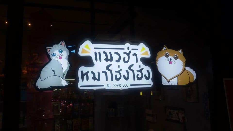 แมวฮ่า หมาโฮ่งโฮ่ง by Dogie Dog (เดอะคริสตัล ราชพฤกษ์) 1
