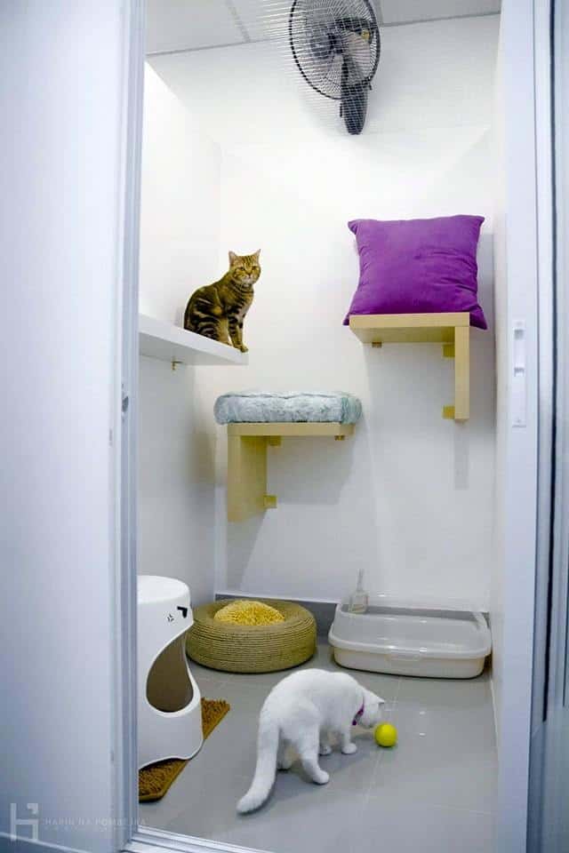 โรงแรมแมว Casa de Cat : หัวลำโพง 3