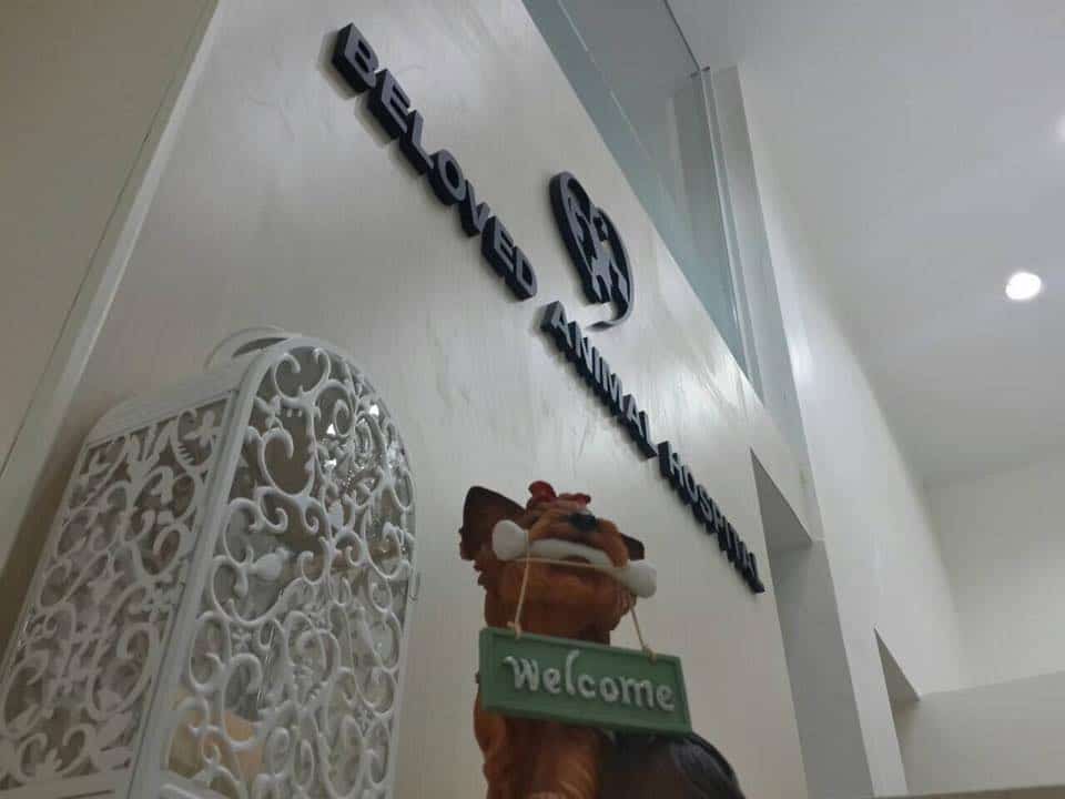 Beloved Animal Hospital (โรงพยาบาลสัตว์บีเลิฟ) 2