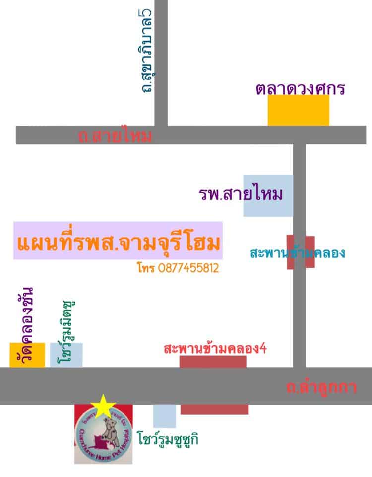 Chamchuree Home Pet Hospital (โรงพยาบาลสัตว์ จามจุรี โฮม) 2