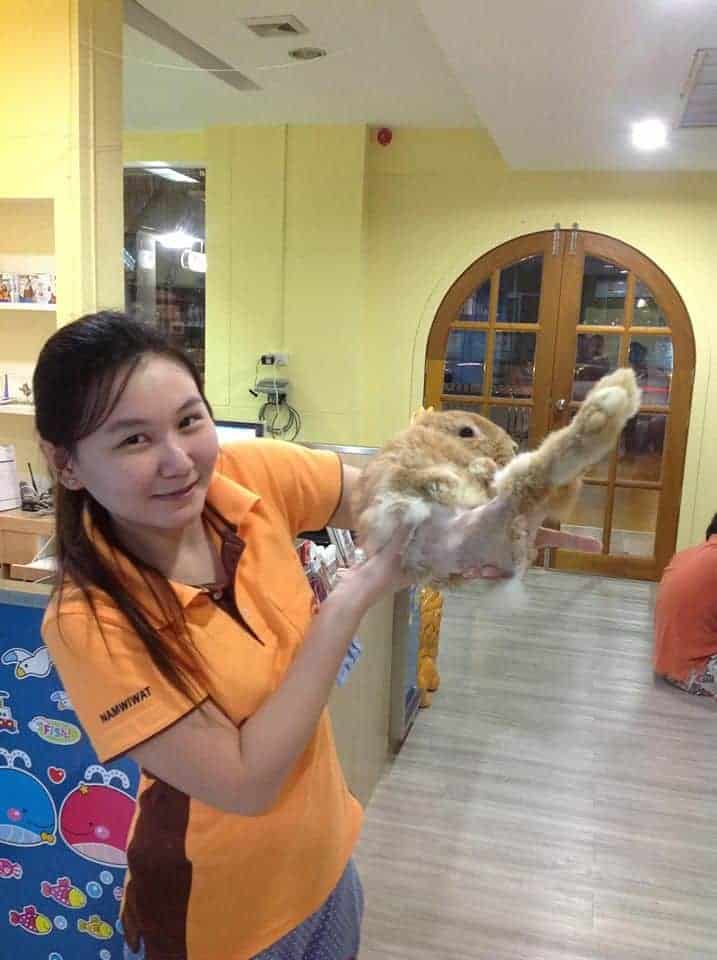 Pet Castle Animal Hospital (รัตนาธิเบศร์) 2