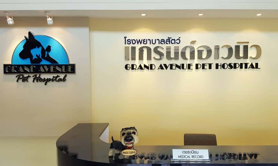 Grand Avenue Pet Hospital (โรงพยาบาลสัตว์แกรนด์อเวนิว) 1
