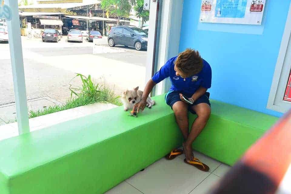 Pa Mari Animal's Health Center (ศูนย์สุขภาพสัตว์ พามาริ) 4